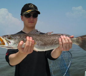 Trout Fishing in Galveston